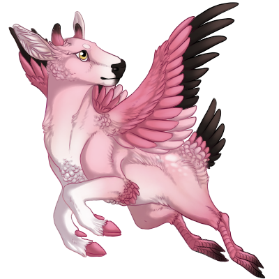 Pink Doemingo
