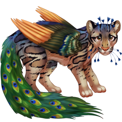 Ocelock