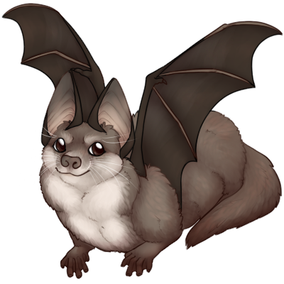 Brown Otterbat